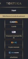 Découvrez les Atouts du Casino Tortuga en Ligne pour les Joueurs Français